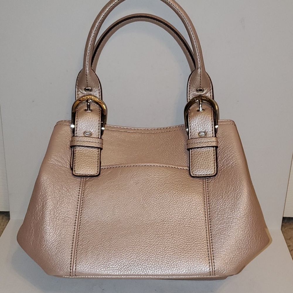Tignanello Metallic Rose Gold Leather Purse